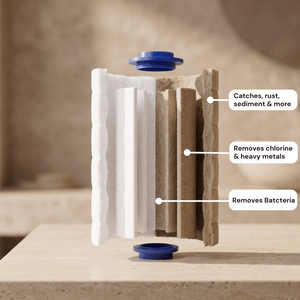 Filtered Shower Head - Velvet Home