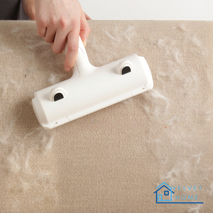 Smart Pet Hair Remover