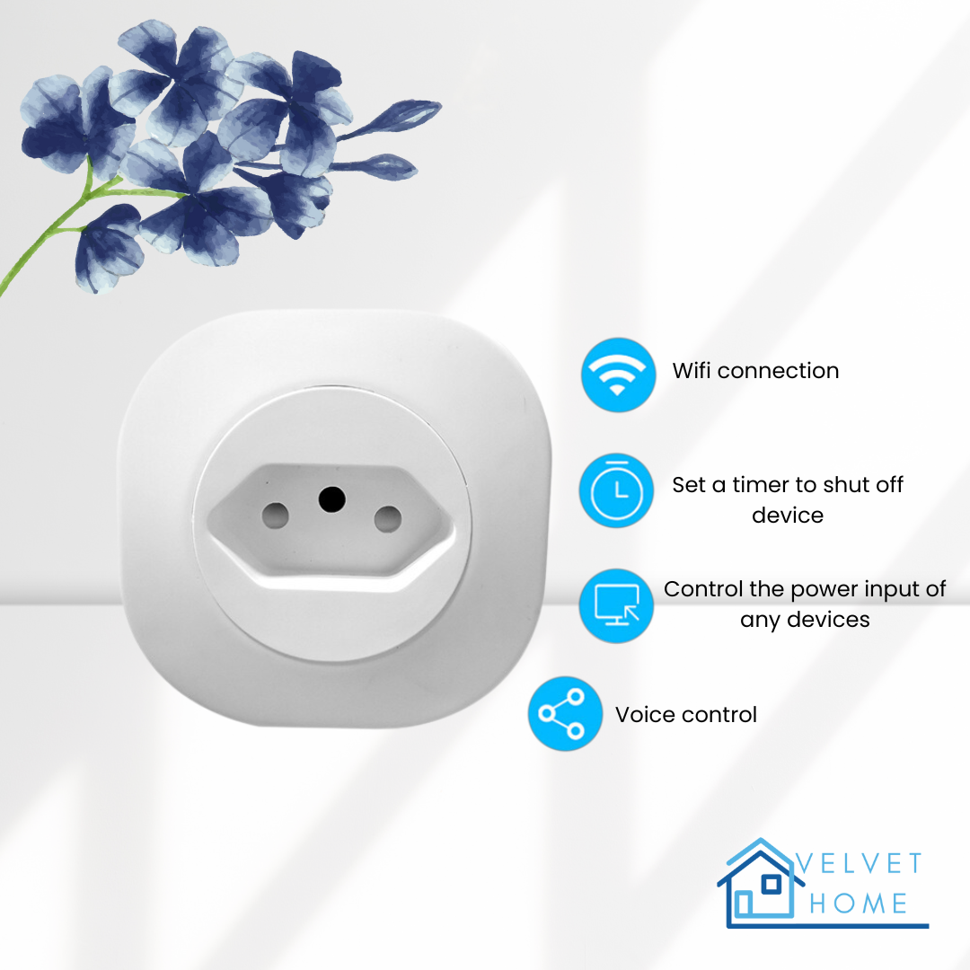 The Smart Plug