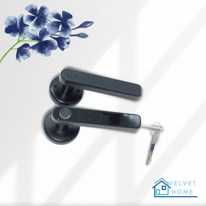 Smart Touch ID Door Handle